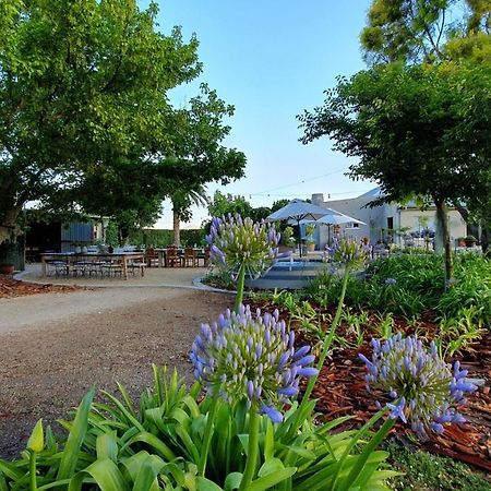 Picardiplace Rawsonville Extérieur photo